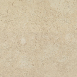 Мрамор МРАМОР VENEZIA DELICATO 600X300 20MM