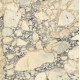 МРАМОР CALACATTA VIOLA GOLD 20MM