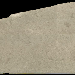 Мрамор МРАМОР DELICATO GREY LEATHER 20MM