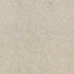 Мрамор МРАМОР VENEZIA DELICATO 600X300 20MM